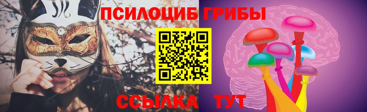 Псилоцибиновые грибы Cubensis  Вход с VPN  Луга 