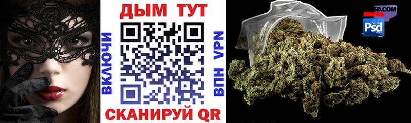 Конопля гибрид  Луга 